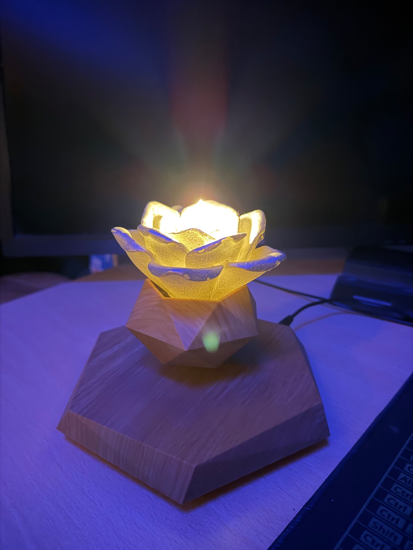 Lewitująca Doniczka Magnetyczna – Magia Natury w Twoim Domu (Obrót 360°)