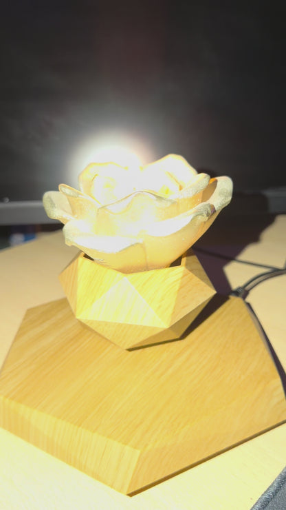 Lewitująca Doniczka Magnetyczna – Magia Natury w Twoim Domu (Obrót 360°)